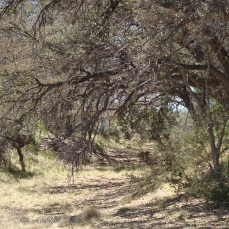 TweedyRanch (45)